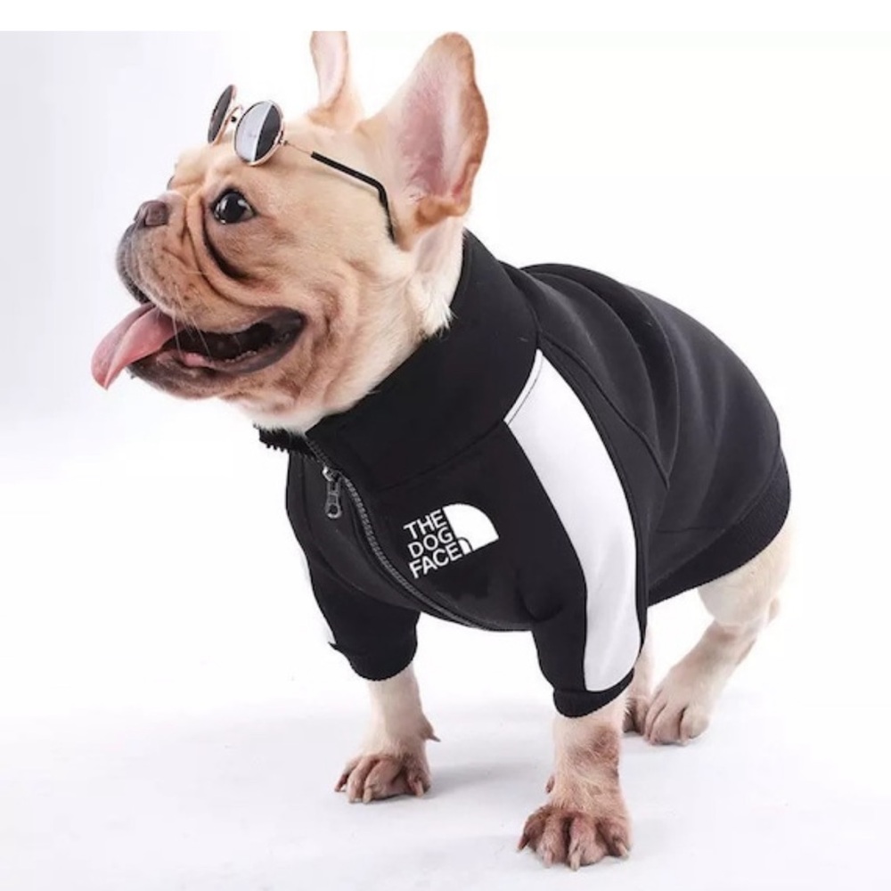 The Dog Face Black Jacket